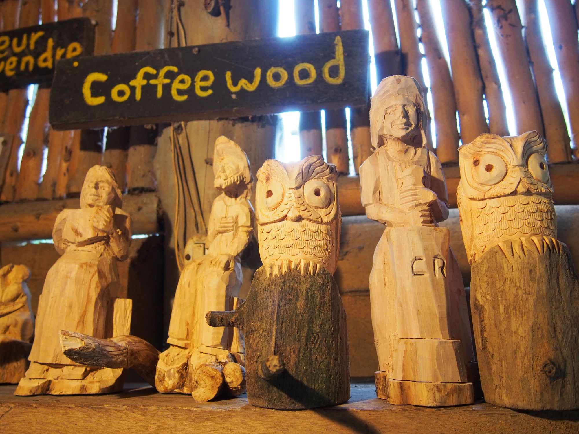 Dřevěný sen o kávě
