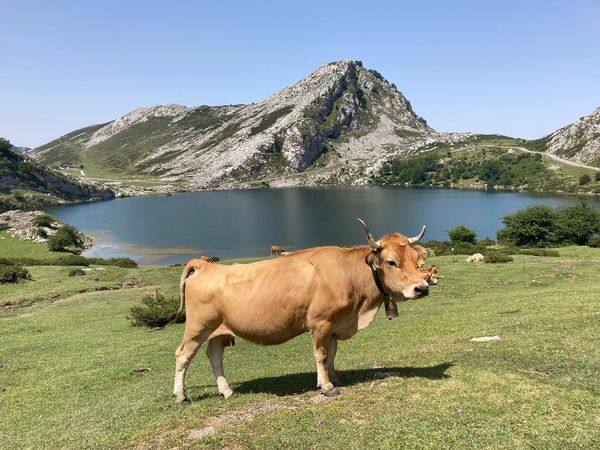 Pět dní v Kantábrii a Asturii